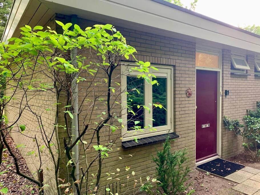 Sluwe Vos: Ontspannen In Het Bos! Otterlo Exterior foto